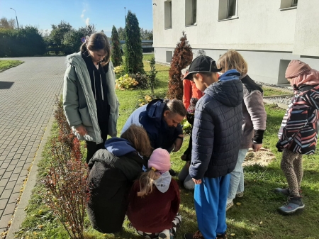 Jesienne nasadzenia - fotorelacja